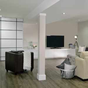 basement, laundry room, secret door, playroom